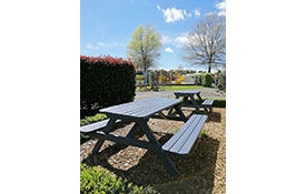 self-contained 3-bedroom cabin picnic tables