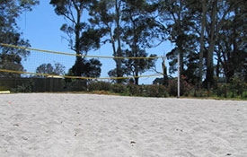 Volleyball