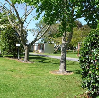 kiwifruit picking accommodation